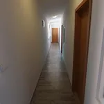 Domani