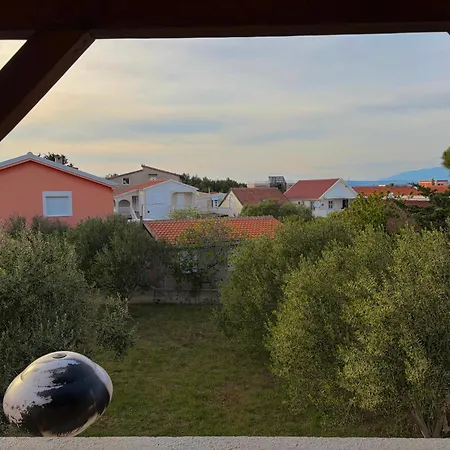 Domani * Vir